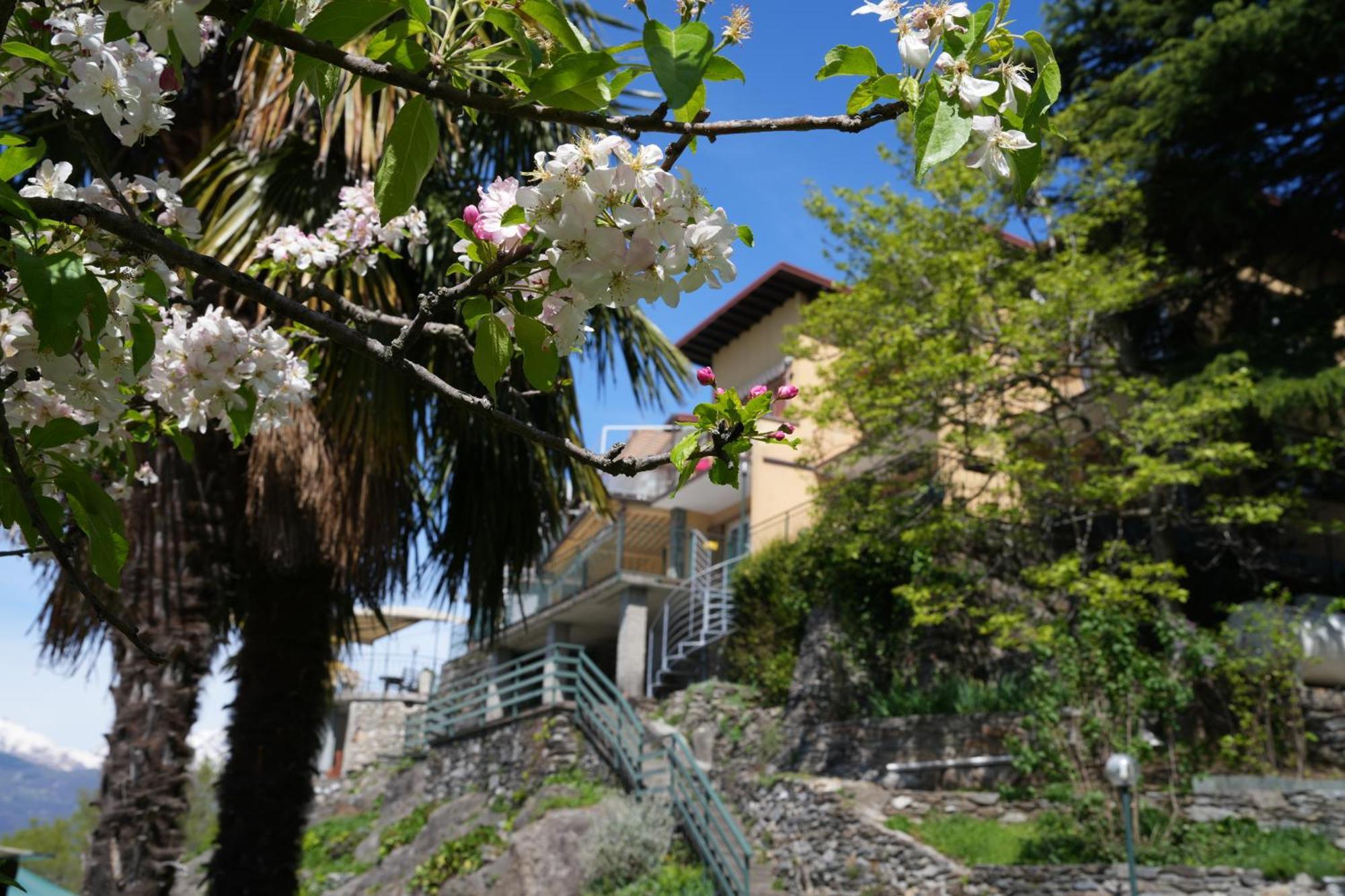 Welcomely - Casa Porta Di Cielo Apartment Дервио Екстериор снимка